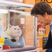 「おじさまと猫」OPテーマを吉澤嘉代子、EDテーマを阿部真央が担当