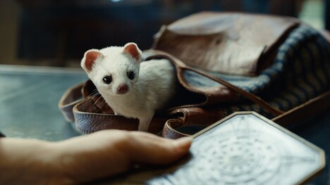 「ダーク・マテリアルズ/ライラと黄金の羅針盤II」