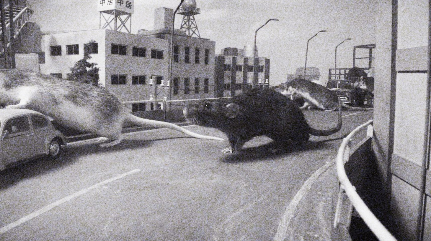 「ネズラ1964」
