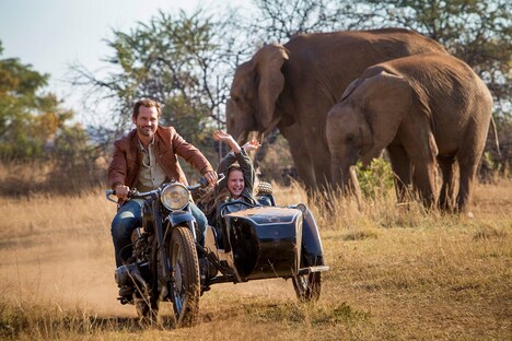 「ミアとホワイトライオン 奇跡の1300日」新場面写真