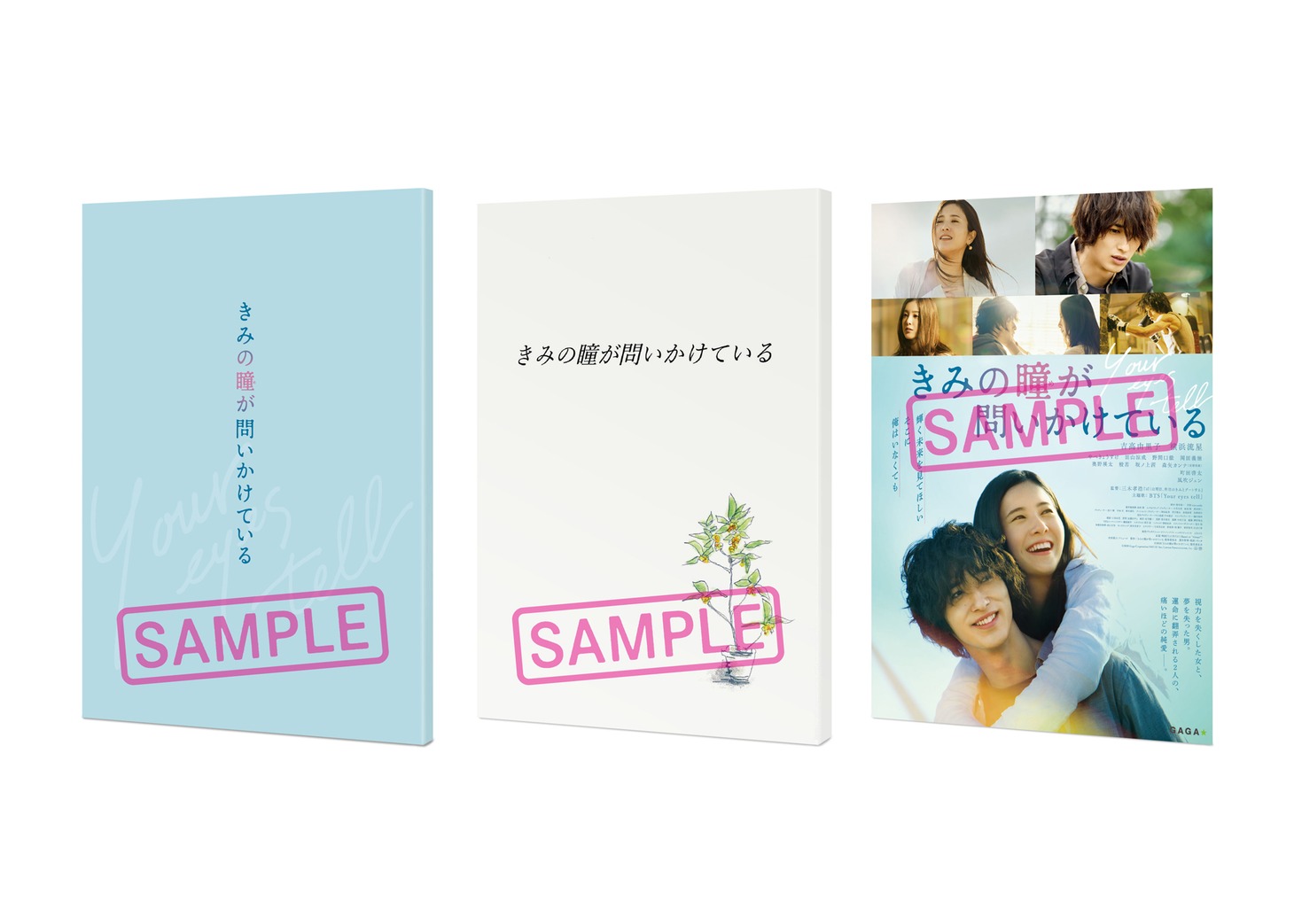 「きみの瞳が問いかけている」プレミアムエディション専用特典（ブックレット+台本+ポスター）