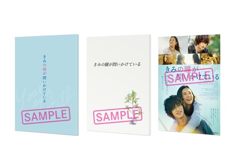 「きみの瞳が問いかけている」プレミアムエディション専用特典（ブックレット+台本+ポスター）