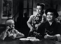 「三毛の放浪記」