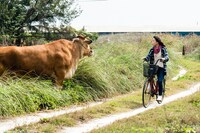 「越年 Lovers」新場面写真