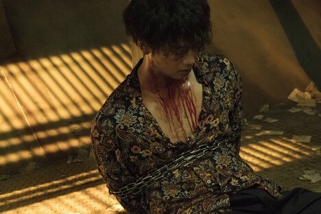 映画「太陽は動かない」