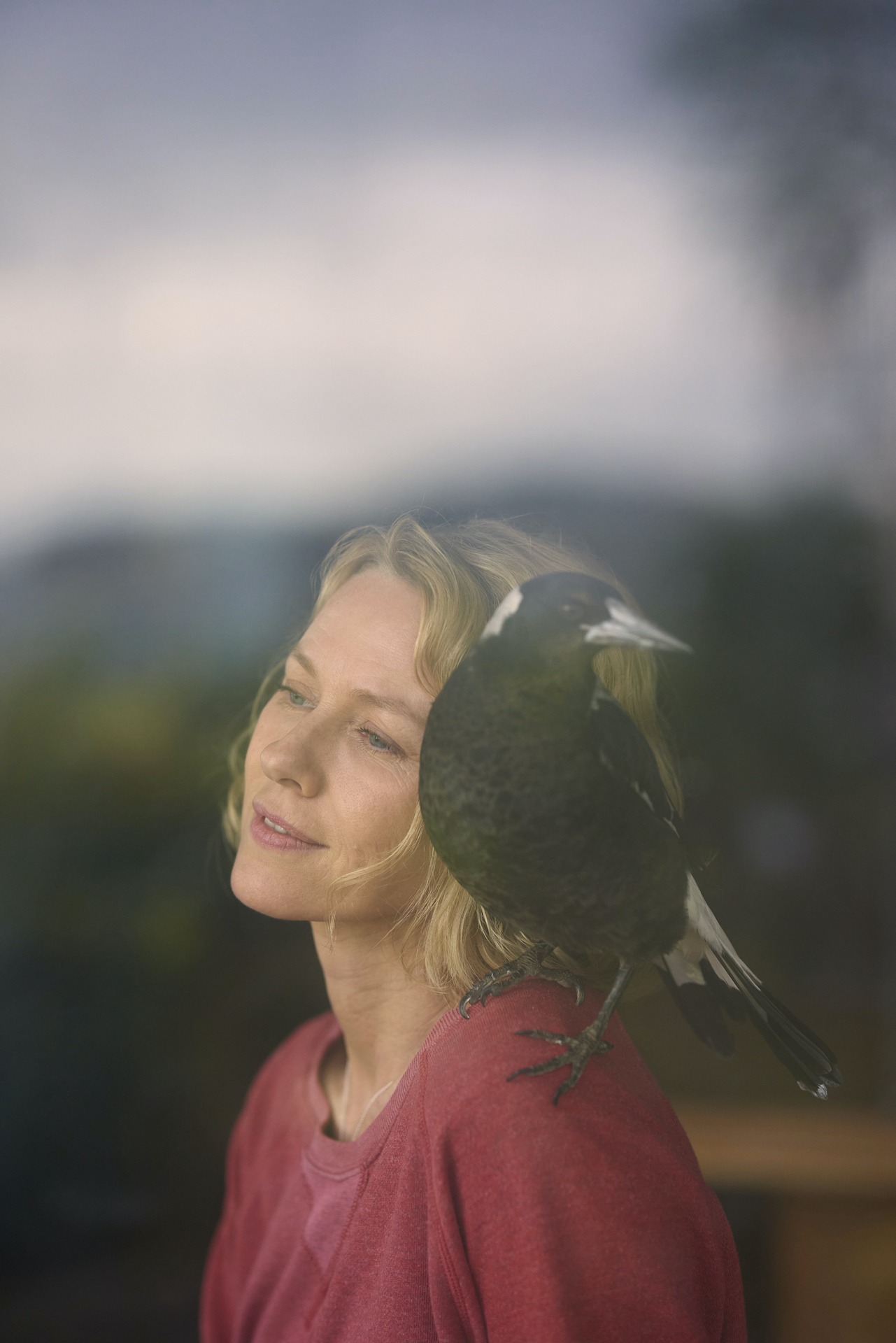 「ペンギンが教えてくれたこと」
