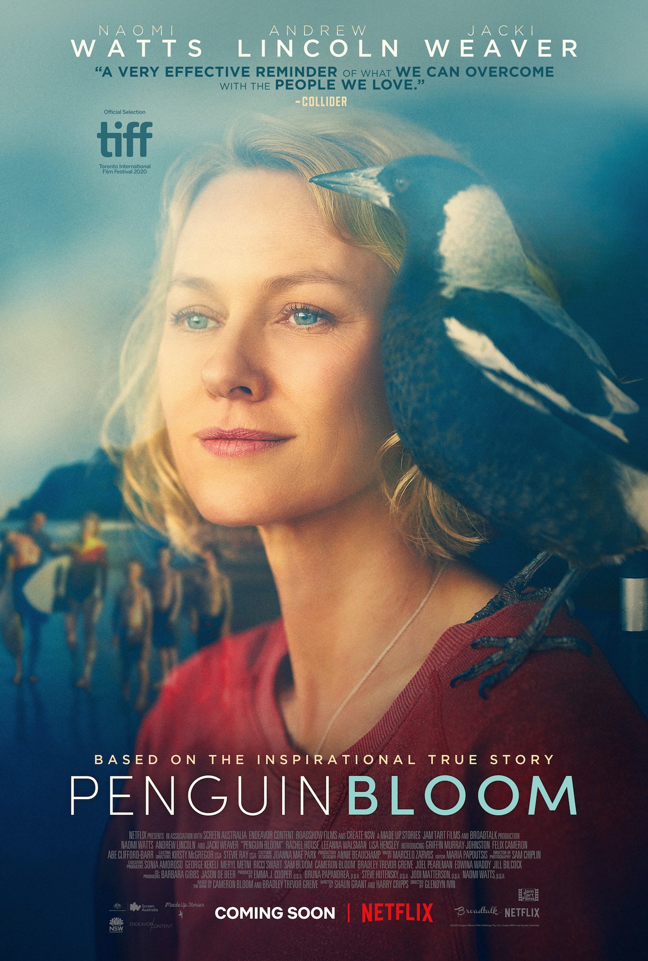 「ペンギンが教えてくれたこと」ビジュアル