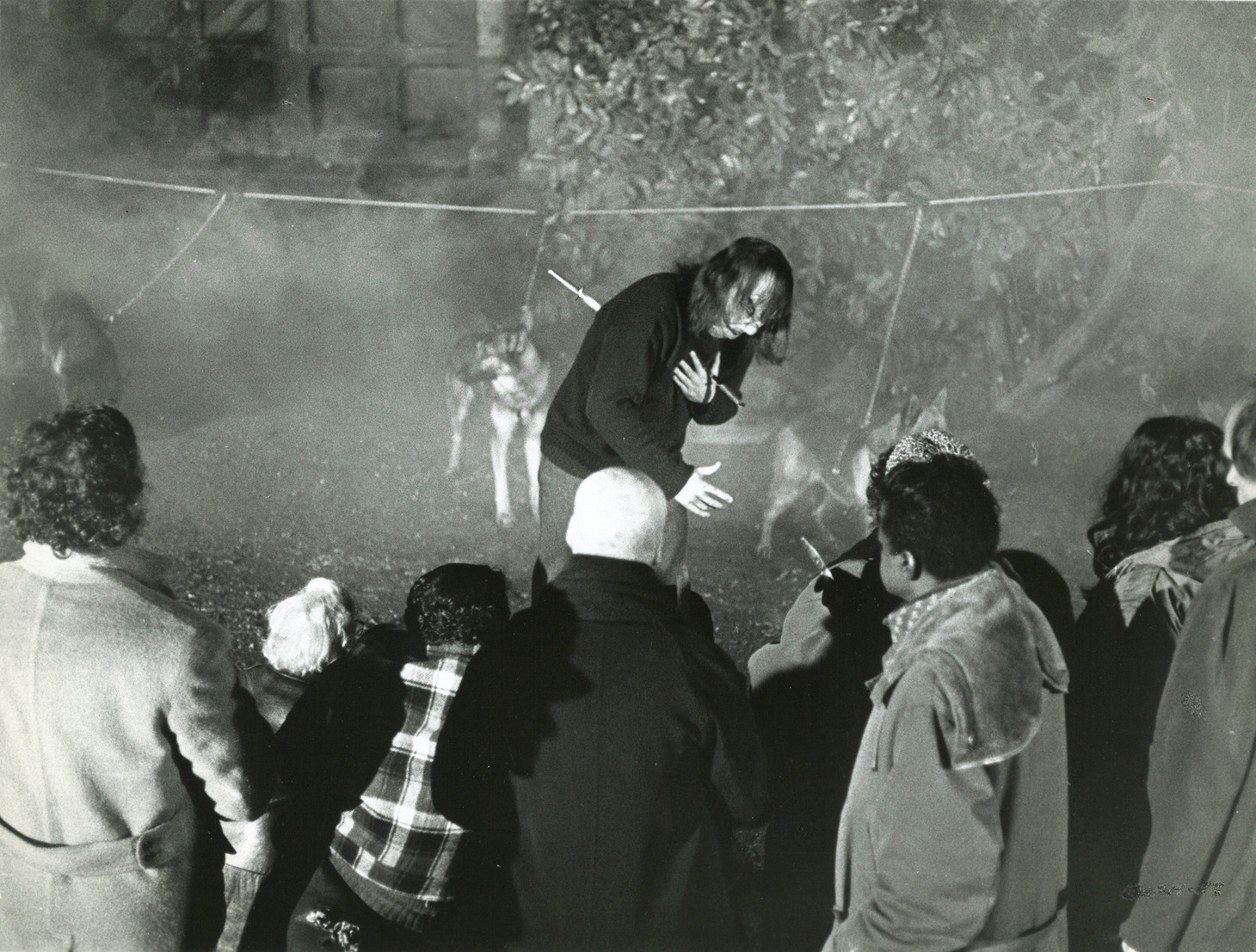 「悪魔の植物人間」 (c)1973 CYCLONE PRODUCTIONS, INC./VIDCREST. (c) 2005 SUBVERSIVE CINEMA, INC. ALL RIGHTS RESERVED.