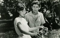 「君は裸足の神を見たか」