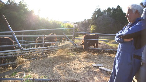 「ナオト、いまもひとりっきり」