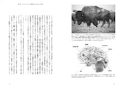 「脚本の科学 認知と知覚のプロセスから理解する映画と脚本のしくみ」中面