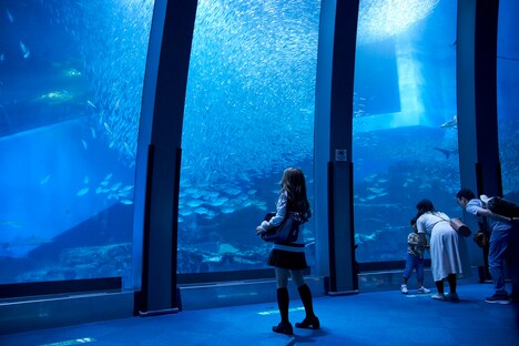 「ライアー×ライアー」新場面写真