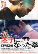 「迷子になった拳」ポスタービジュアル