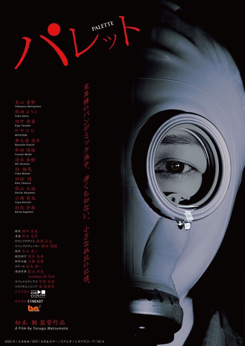 「パレット」ビジュアル (c)松本動