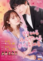 ドラマ「ももいろ あんずいろ さくらいろ」キービジュアル