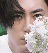 「色」イメージ画像