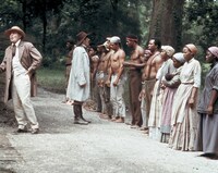 「マンディンゴ」