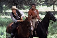 「マンディンゴ」