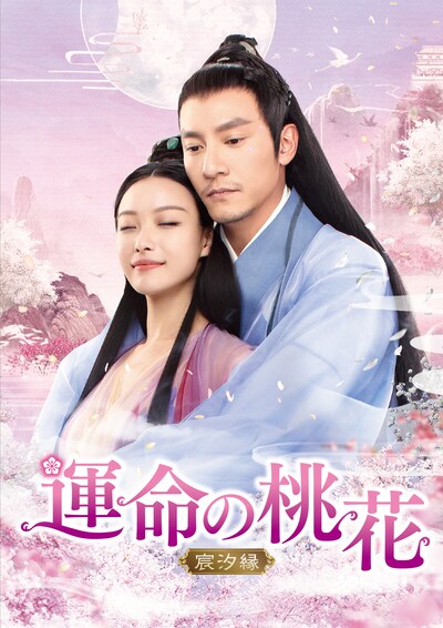 「運命の桃花～宸汐縁～」ビジュアル