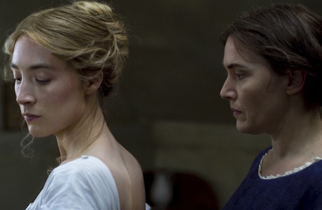 「アンモナイトの目覚め」