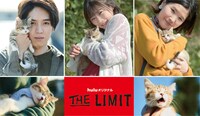 「THE LIMIT」第1話「ネコと井戸」オフショット