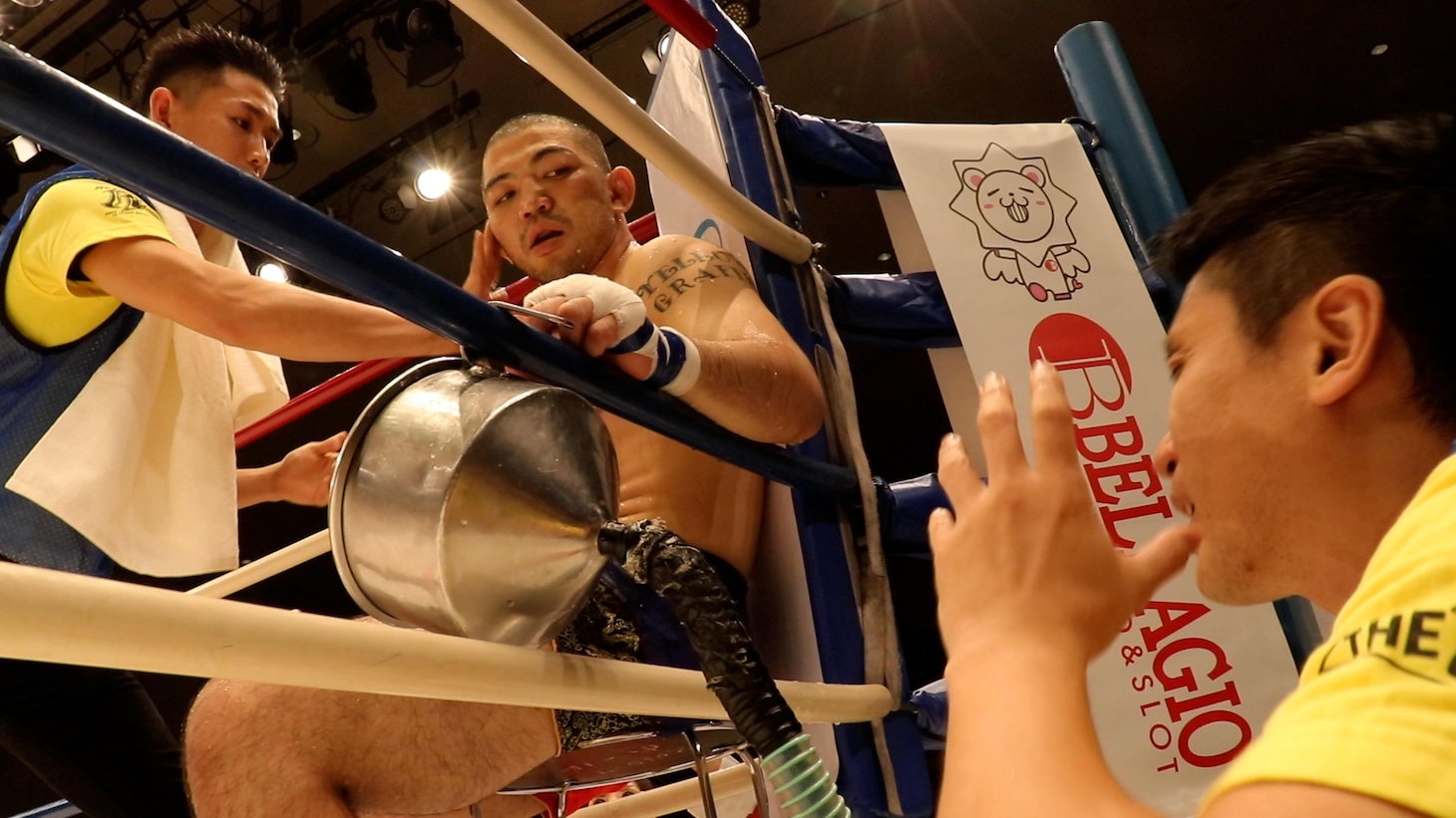 「迷子になった拳」
