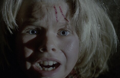 「墓地裏の家」