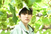 「しあわせのマスカット」新場面写真