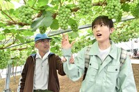 「しあわせのマスカット」新場面写真