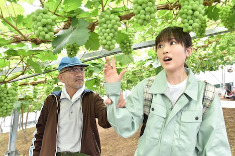 「しあわせのマスカット」新場面写真