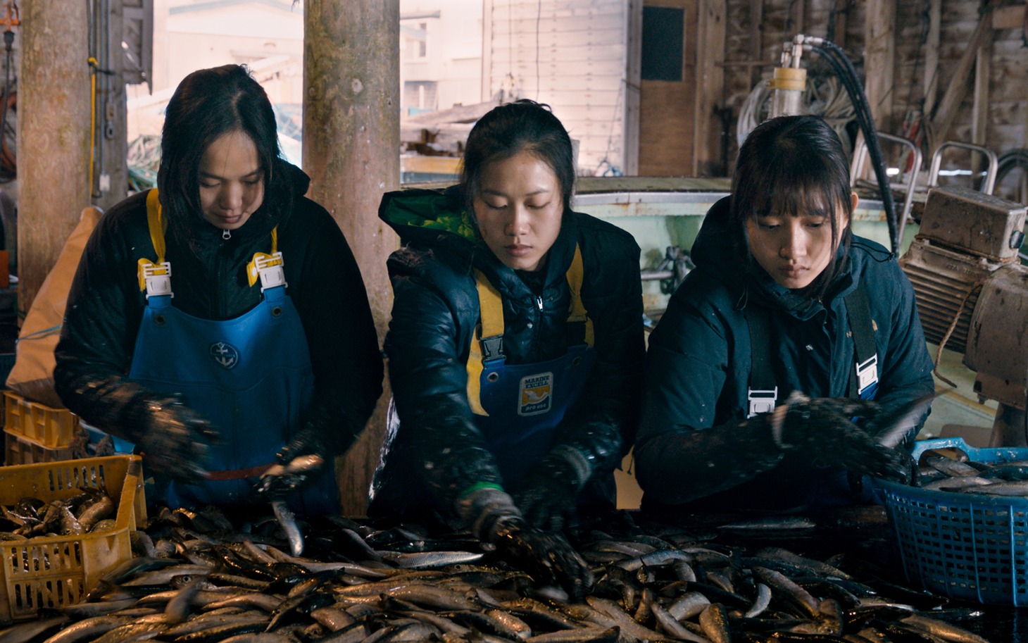 「海辺の彼女たち」