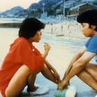 大林宣彦の解説付き、「転校生」「彼のオートバイ、彼女の島」など4本を放送