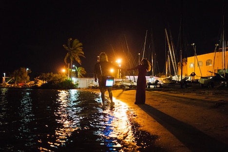 「ビーチ・バム まじめに不真面目」新場面写真