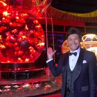 2000匹の金魚を飼育していた照英、尾上松也×百田夏菜子「すくってごらん」を解説