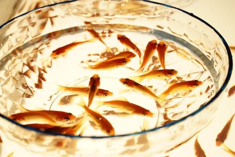 「すくってごらん」新場面写真