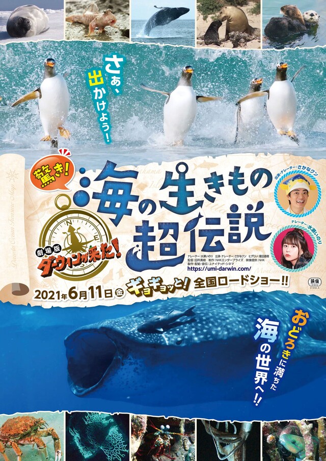 「驚き！海の生きもの超伝説 劇場版ダーウィンが来た！」メインビジュアル