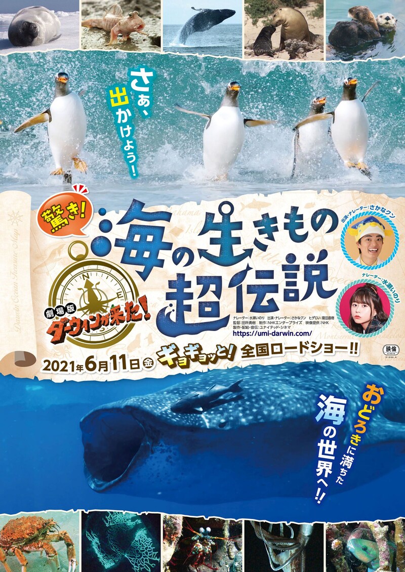 「驚き！海の生きもの超伝説 劇場版ダーウィンが来た！」メインビジュアル