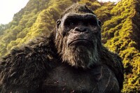 「ゴジラvsコング」