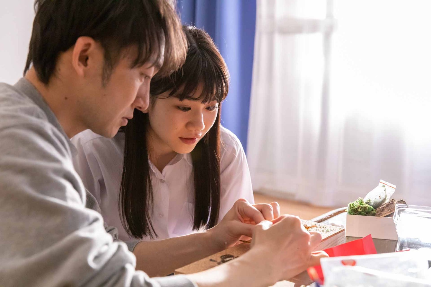 「聖なる蝶 赤い部屋」新場面写真