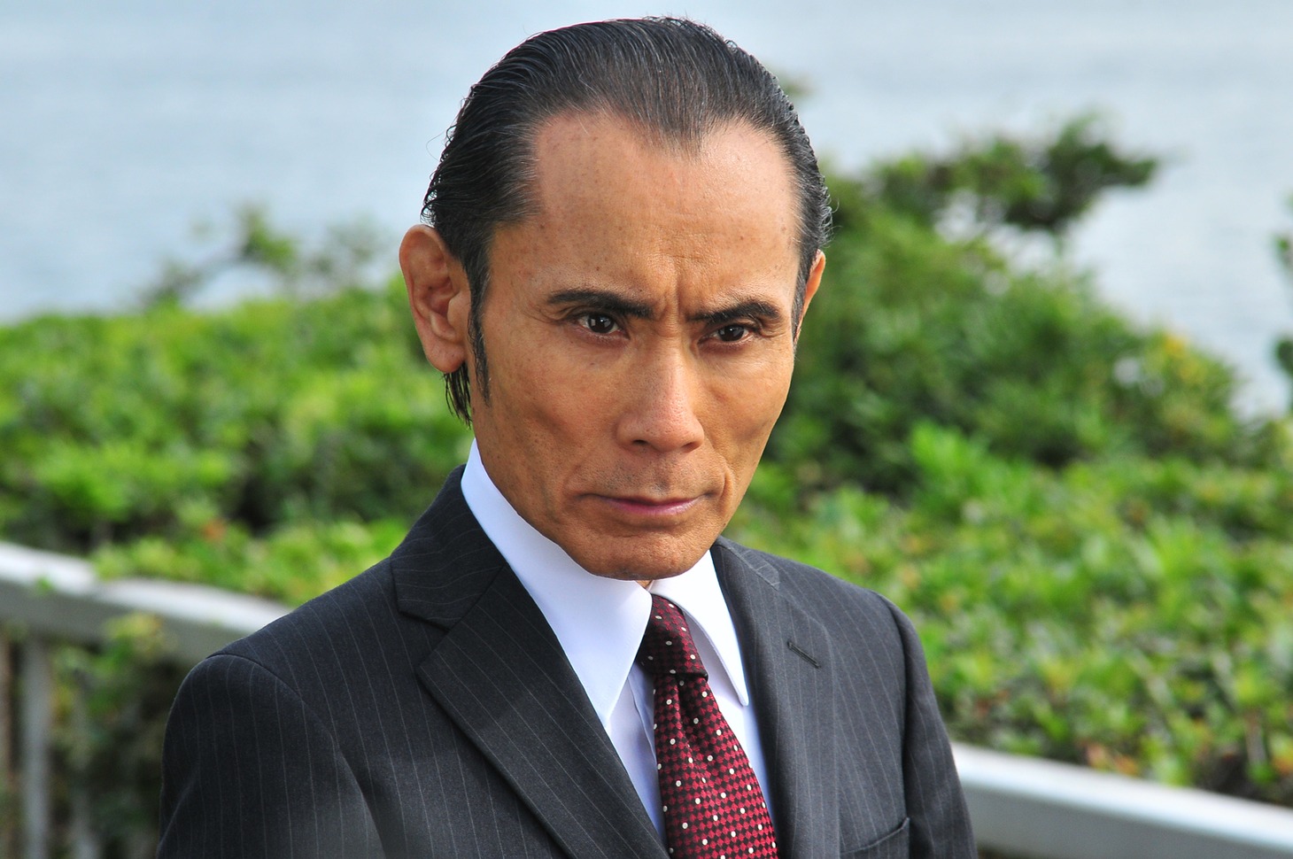 「森村誠一ミステリースペシャル 終着駅シリーズ37 停年のない殺意」