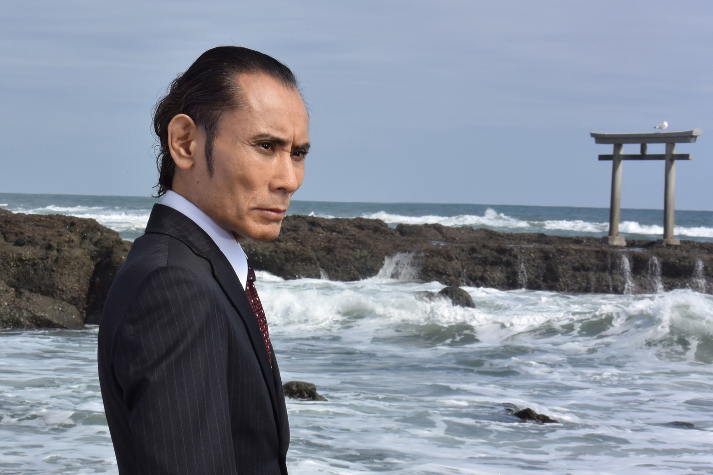 「森村誠一ミステリースペシャル 終着駅シリーズ37 停年のない殺意」