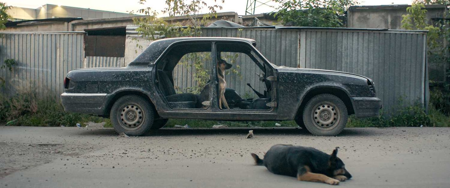 「犬は歌わない」
