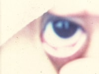 「ぞうが死んだ」