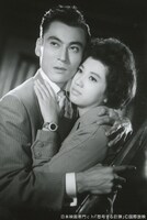 「怒号する巨弾」