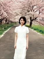 「仙台の満開の桜に感動」（2017年5月14日付）より。