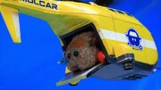 「PUI PUI モルカー」
