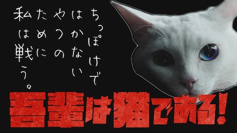 「吾輩は猫である!」ビジュアル (c)2021 「吾輩は猫である!」製作委員会