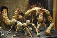 池袋シネマ・ロサの展示より、撮影で使用されたパペット。