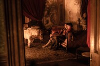 「トゥルー・ヒストリー・オブ・ザ・ケリー・ギャング」