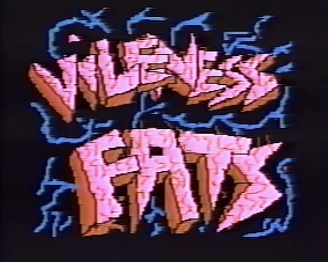 「ヴァイルネス・ファッツに何が起ったか？」